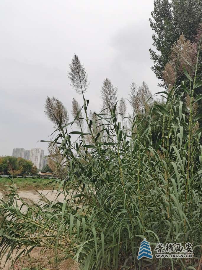 20251018161257front2_0_571256_Fs-_sw83Fv8-VeMDtUHkqAREkNWC.jpg