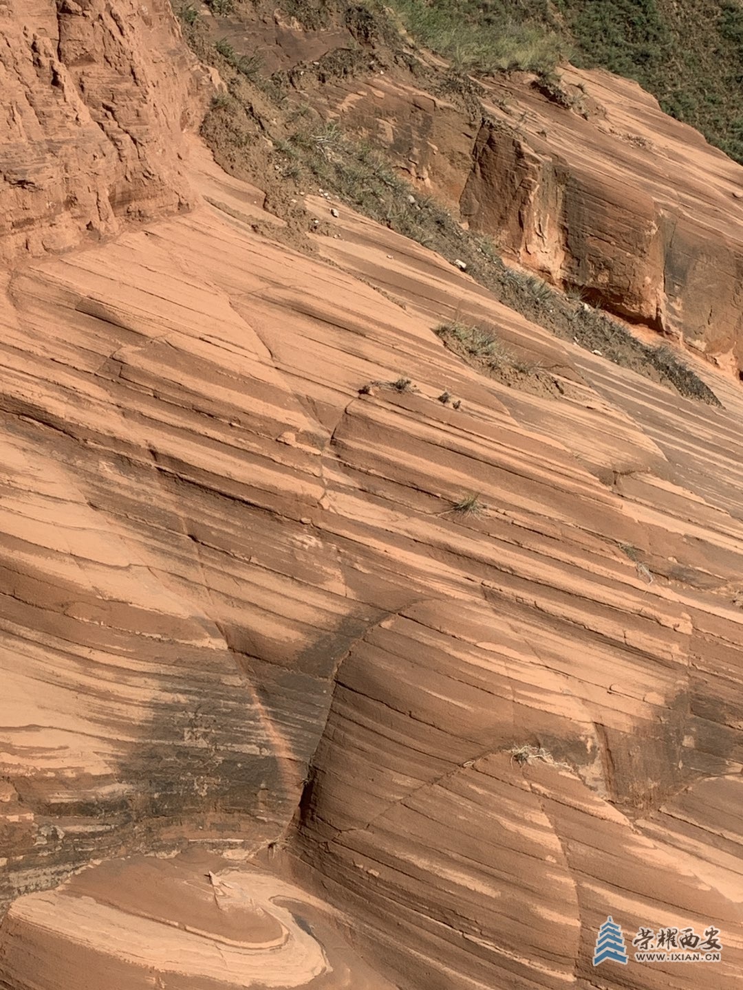 20251018213034front1_0_639761_Fk830KoDQqSaKlOAQ8v-PX04CnPF.jpg