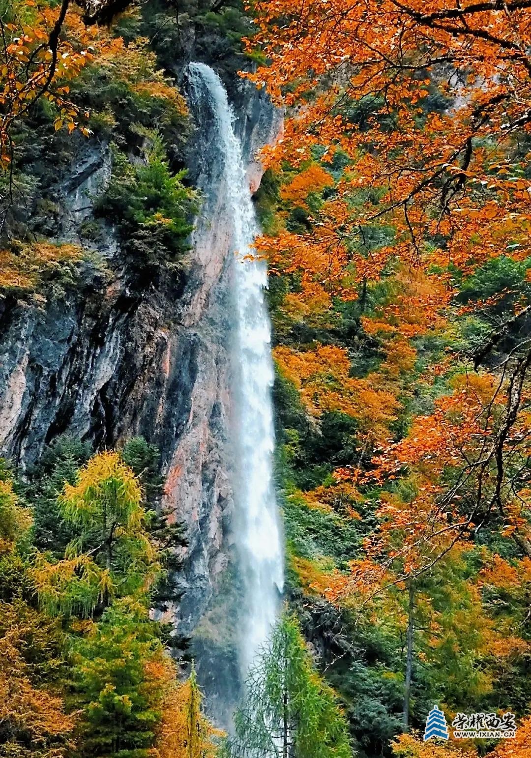 001d6a17366c46eb8b2e27af0def5b5b~tplv-tt-origin-web:gif.jpeg?_iz=58558&from=article.jpg