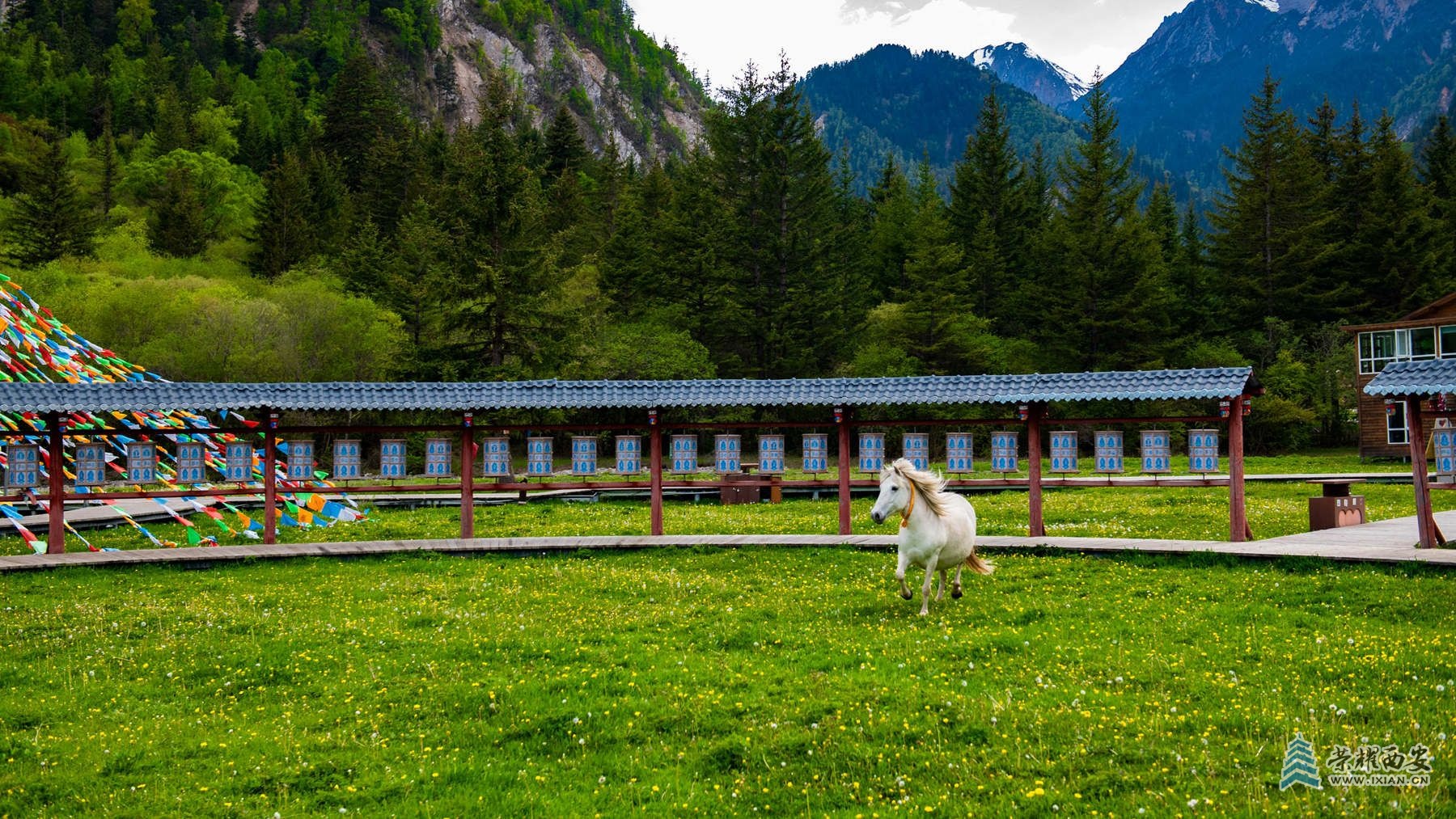 _DSC0902_副本.jpg