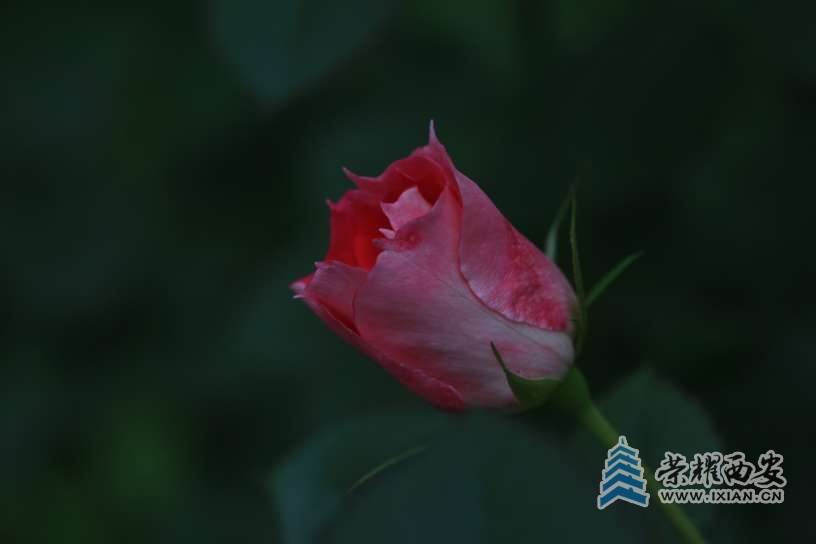 20251020191109front2_0_627177_FsaW1PvM6eq0AjlVUMxC33ZoTscS.jpg