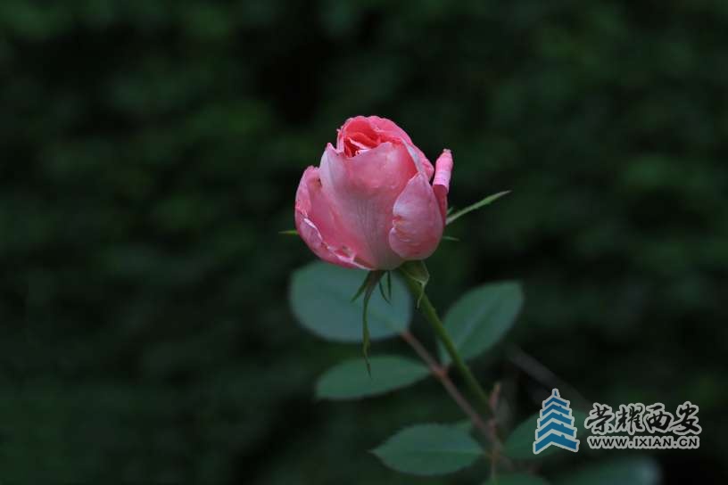 20251020191109front2_0_627177_FqZoaGVnPSg1bJf8dJHgYBODKCMw.jpg