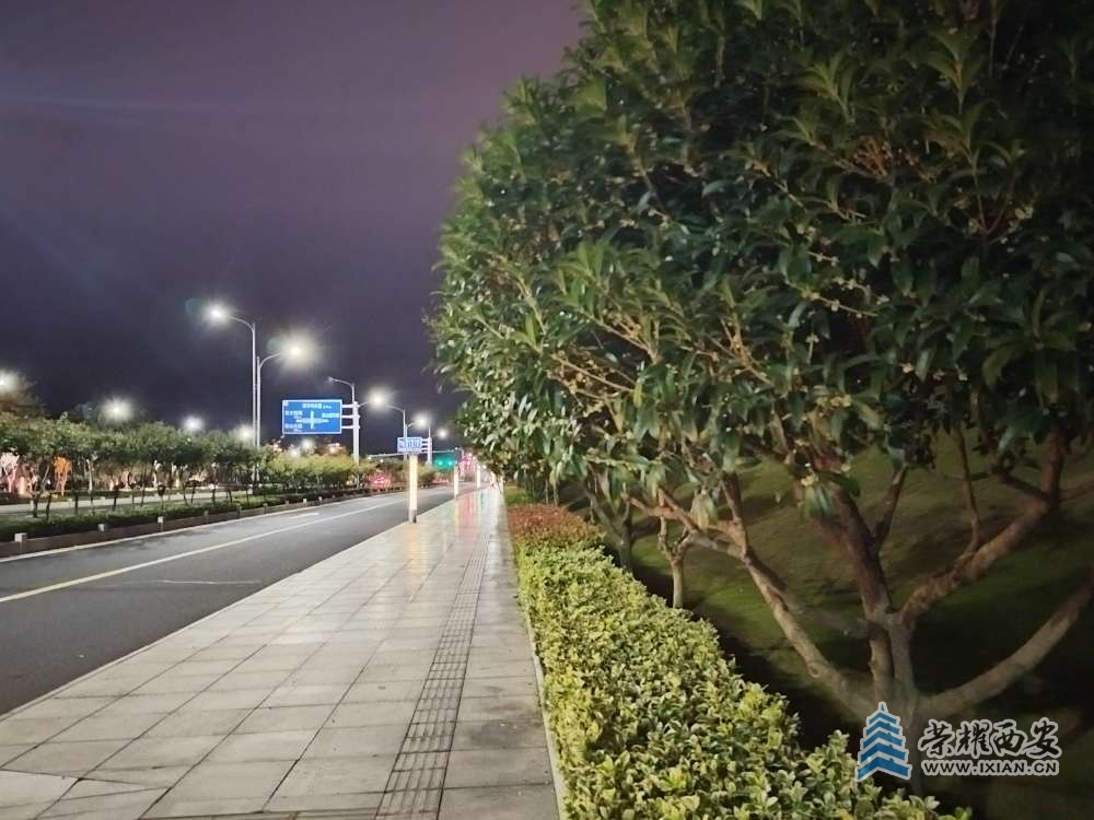 秋意濃濃思緒長