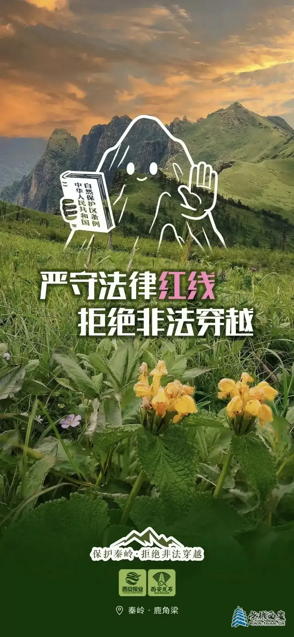 640.webp