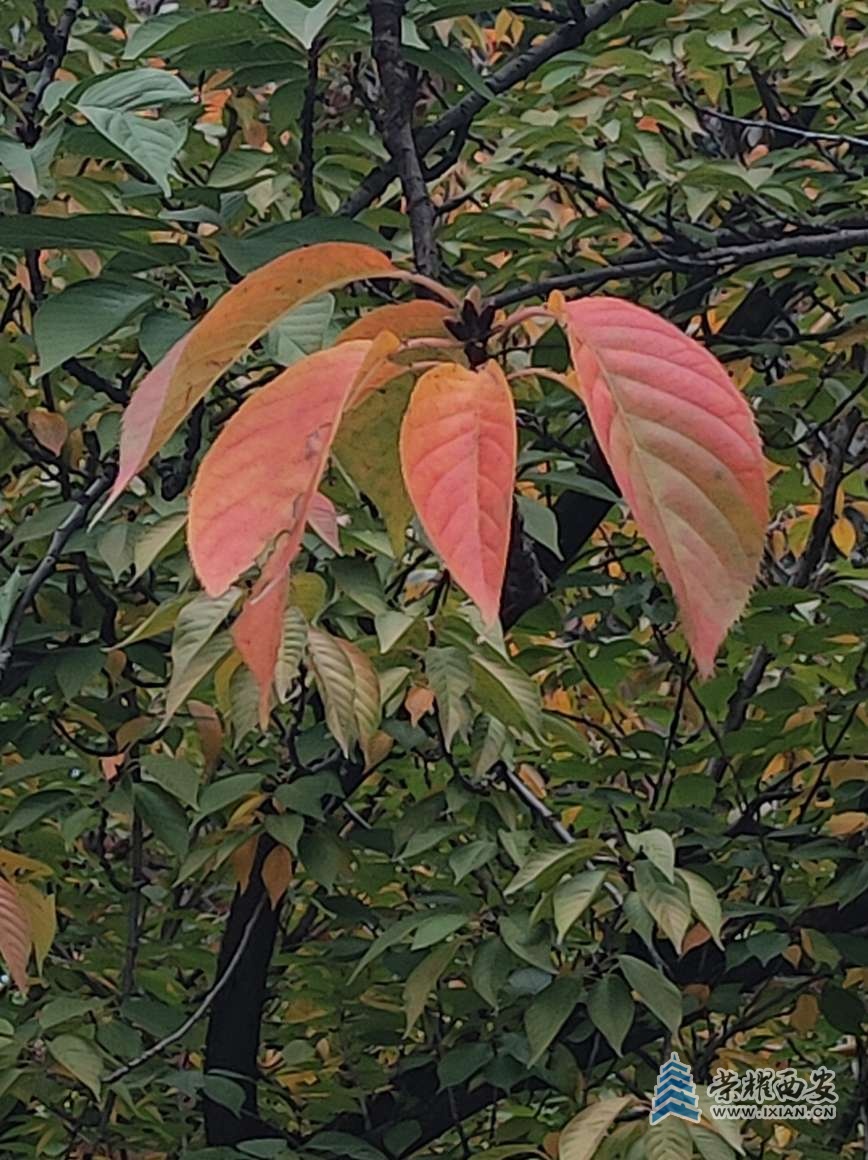 20251022112108front2_0_641246_FthhZKTD6nE-bo6BcPQuVvYD3nc6.jpg