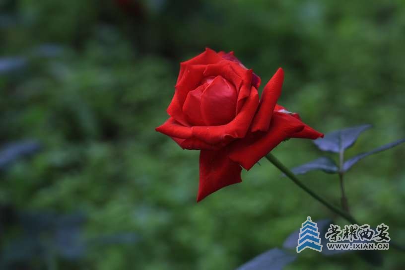 20251022191929front2_0_627177_FrgFQhJB-ph-qMw7OA-_go5A8Io4.jpg