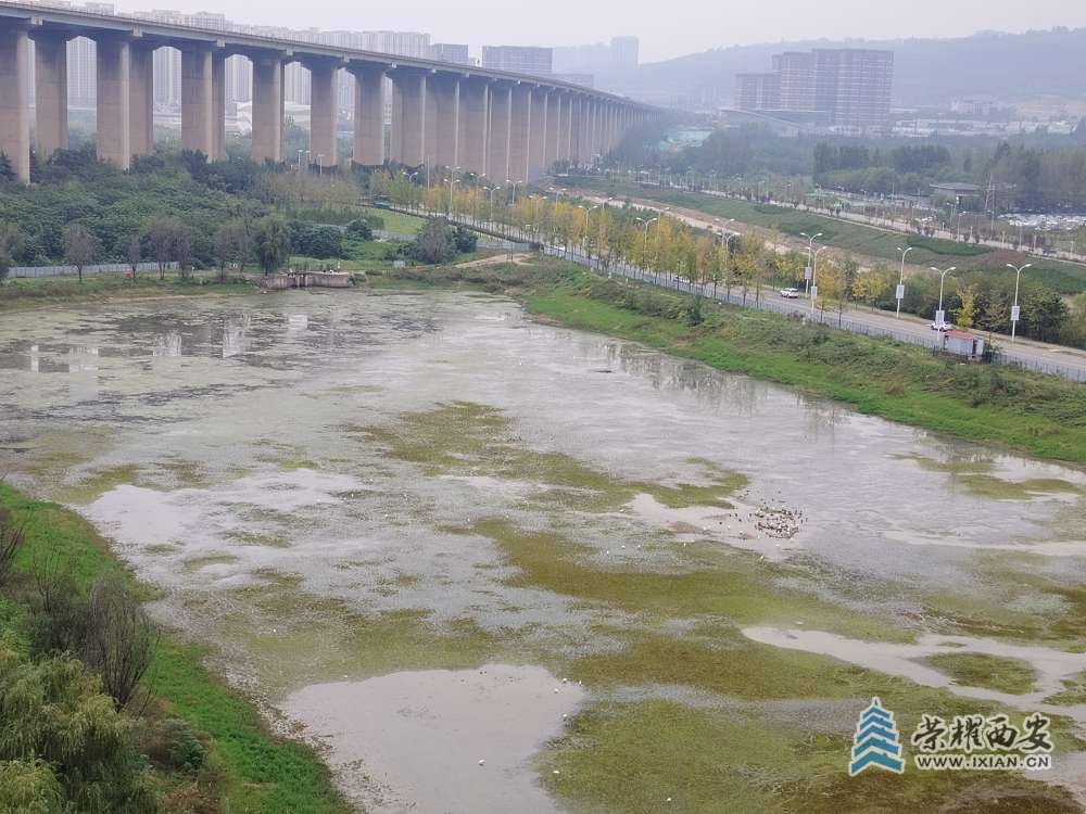 濕地，鳥類生活的天堂