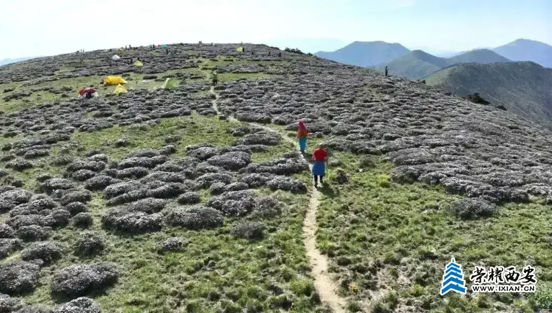 100830m8dhfzecpehkz8gz.webp.webp