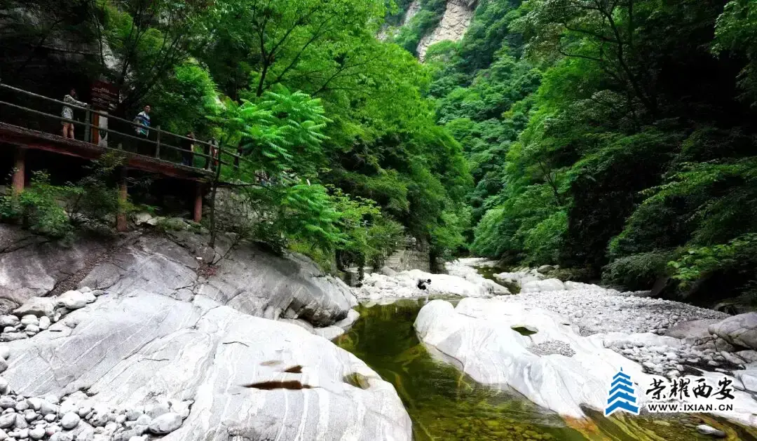100831x222j2jl66f6ward.webp.webp