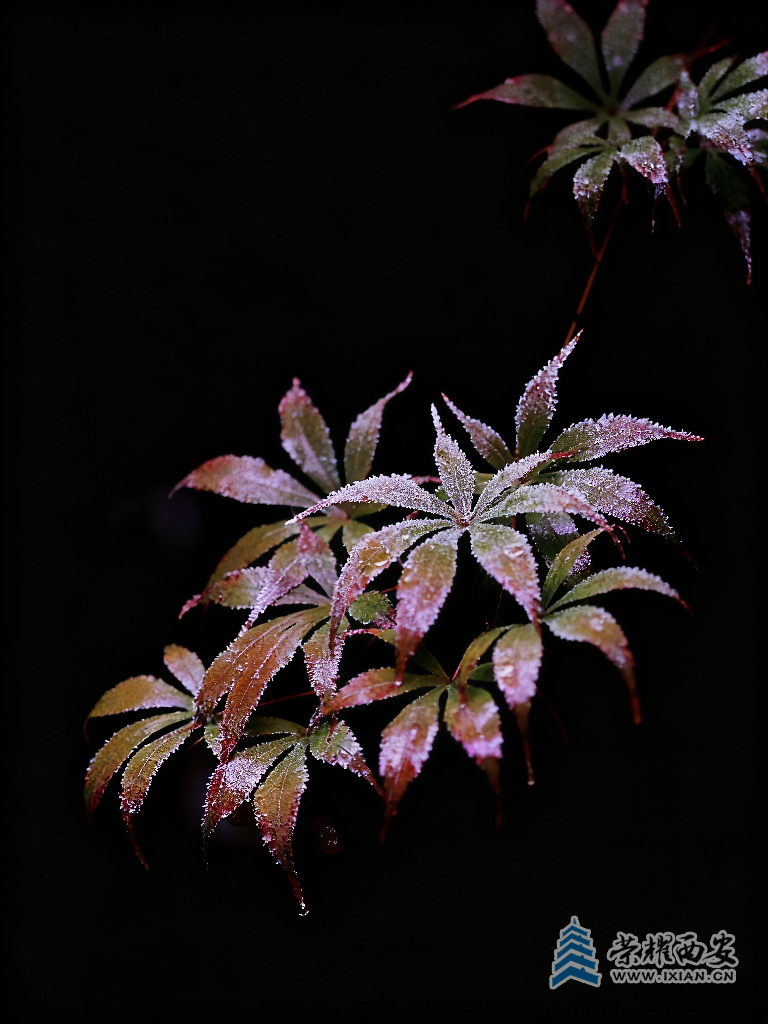 20251024192135front2_0_627177_FvWQrzIv6D8tng1sXqrJwcL1NpGp.png