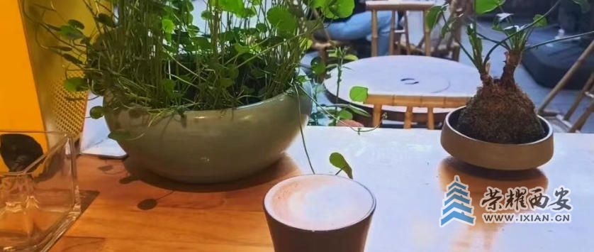 冰峰做咖啡,魏家开西餐……西安本土品牌为何争抢“咖啡杯”?
