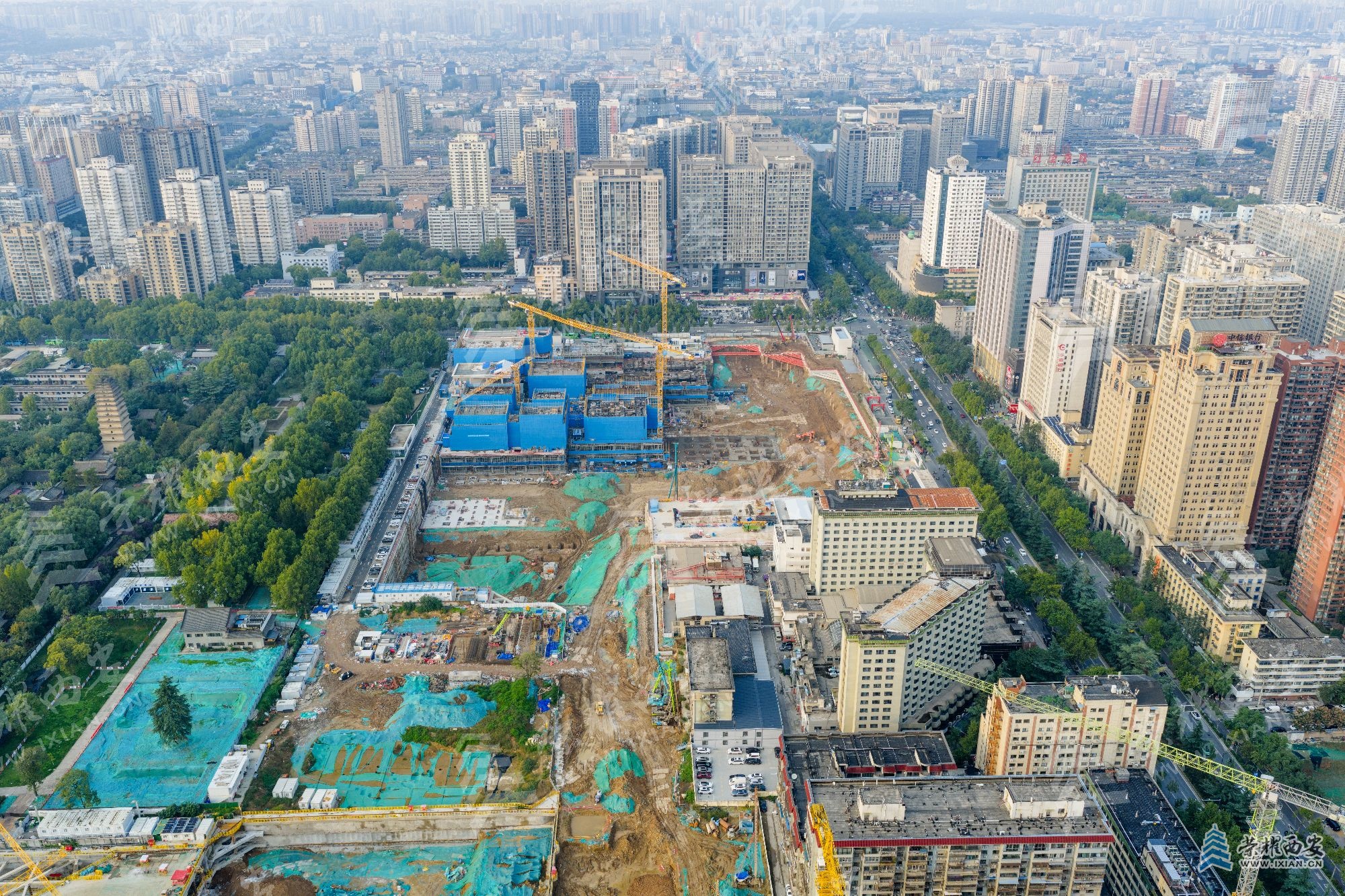 DJI_20251026170535_0039_D (1).jpg