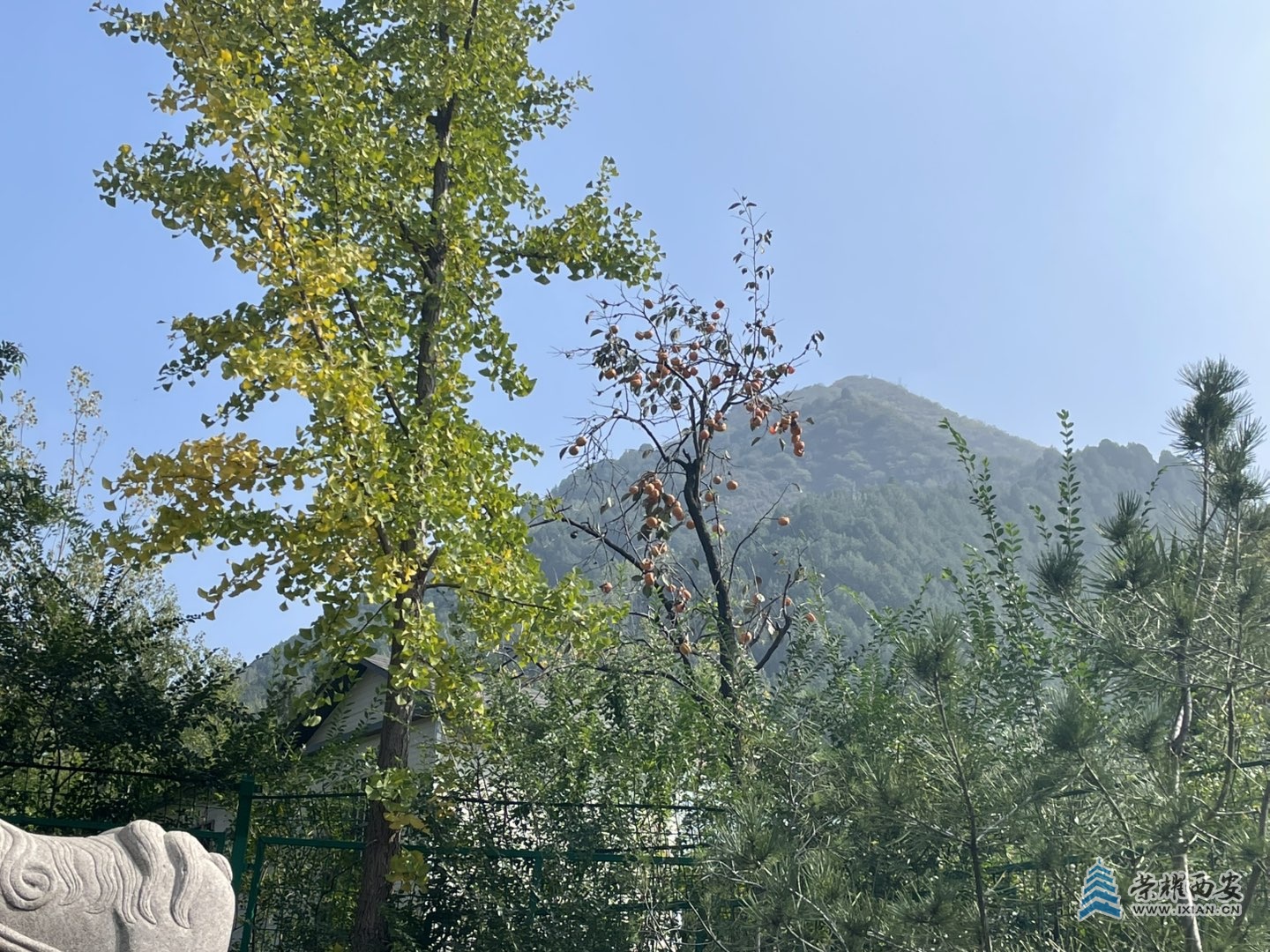 【長安云開見日光】今日秋日暖陽下的秦嶺山中的美景