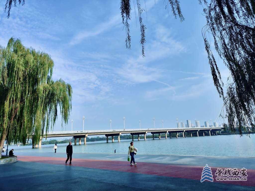 【长安云开见日光】秋阳中的咸阳湖边