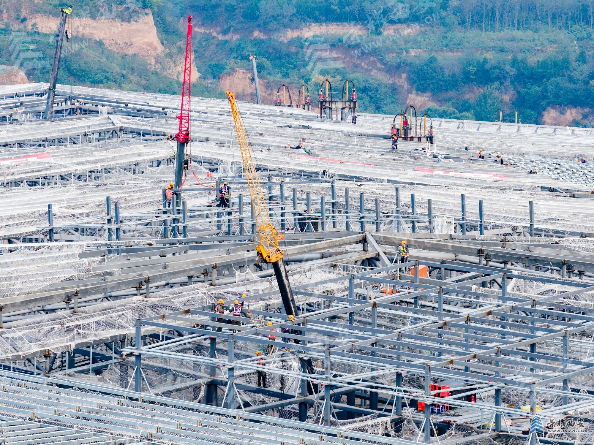 DJI_20251028170001_0047_D (1).jpg