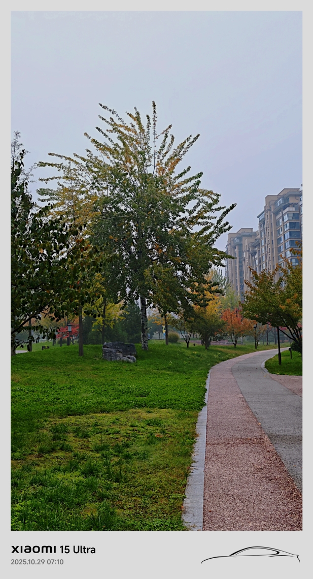 唐城墻遺址公園新開門西段秋深葉正黃