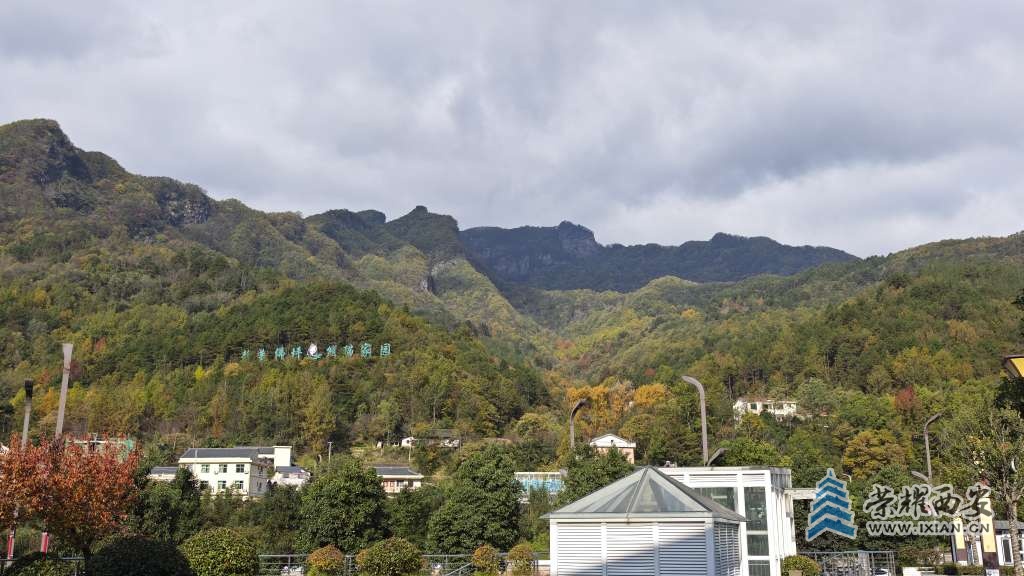 熊貓之鄉(xiāng)