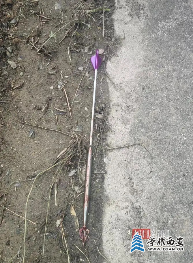 10A136004DE276A068F2F97D8C97E5C3B4E67966_size165_w669_h908.jpg 10A136004DE276A068F2F97D8C97E5C3B4E67966_size165_w669_h908.jpg