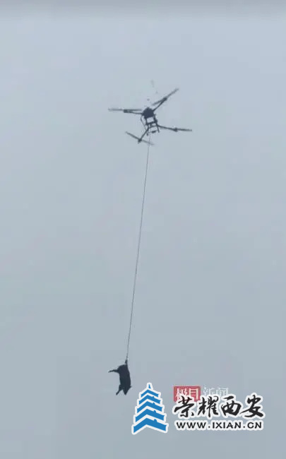 DE6BDD81AAE8563A31758575D074A0AD8E69F849_size8_w405_h650.jpg DE6BDD81AAE8563A31758575D074A0AD8E69F849_size8_w405_h650.jpg