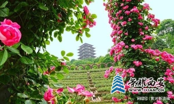 ?url=http%3A%2F%2Fdingyue.ws.126.net%2F2025%2F1030%2F4d73884aj00t4xw0w00hvd000go00a0p.jpg ?url=http%3A%2F%2Fdingyue.ws.126.net%2F2025%2F1030%2F4d73884aj00t4xw0w00hvd000go00a0p.jpg