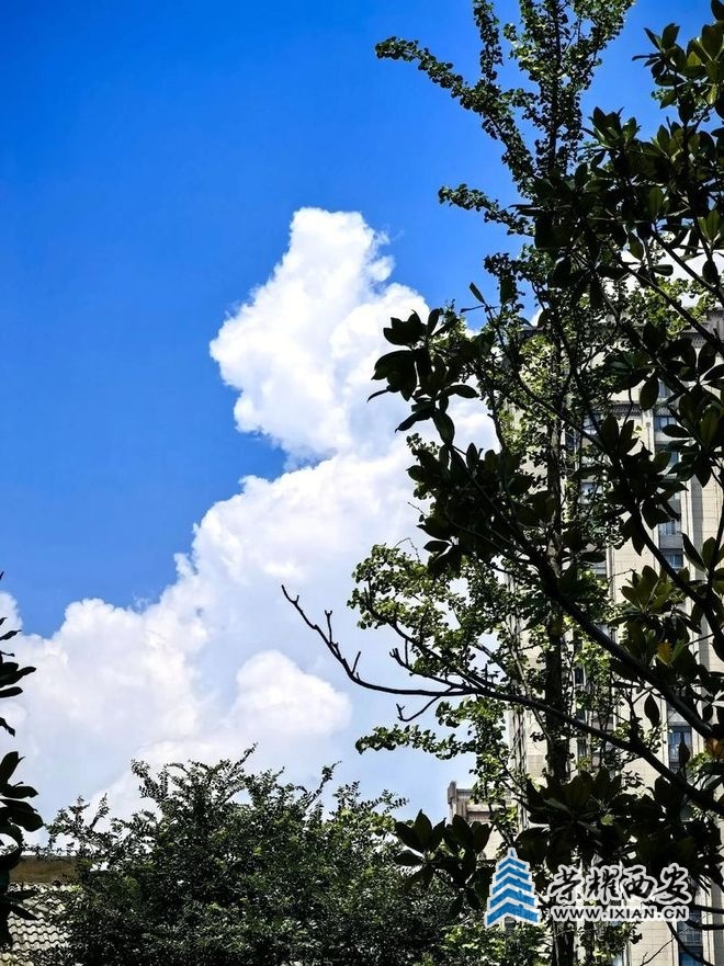 ?url=http%3A%2F%2Fdingyue.ws.126.net%2F2025%2F1030%2Ffcdd1db8j00t4xz8901cfd000m800tnp.jpg ?url=http%3A%2F%2Fdingyue.ws.126.net%2F2025%2F1030%2Ffcdd1db8j00t4xz8901cfd000m800tnp.jpg