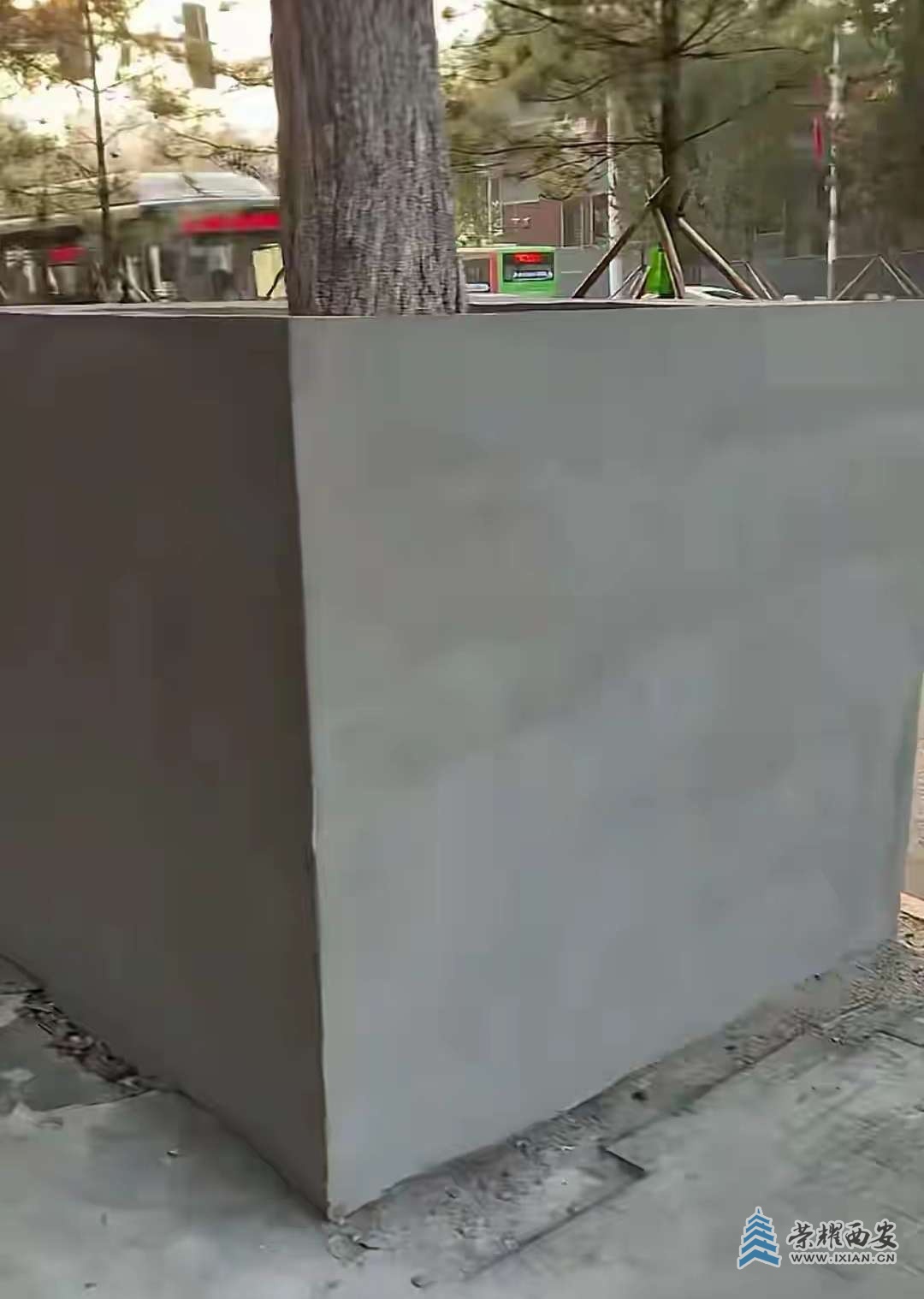 奇葩怪象:  鳳城八路人行道上的“水泥樹(shù)池”！