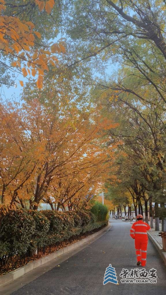 【长安云开见日光】市井烟火的斑斓画章