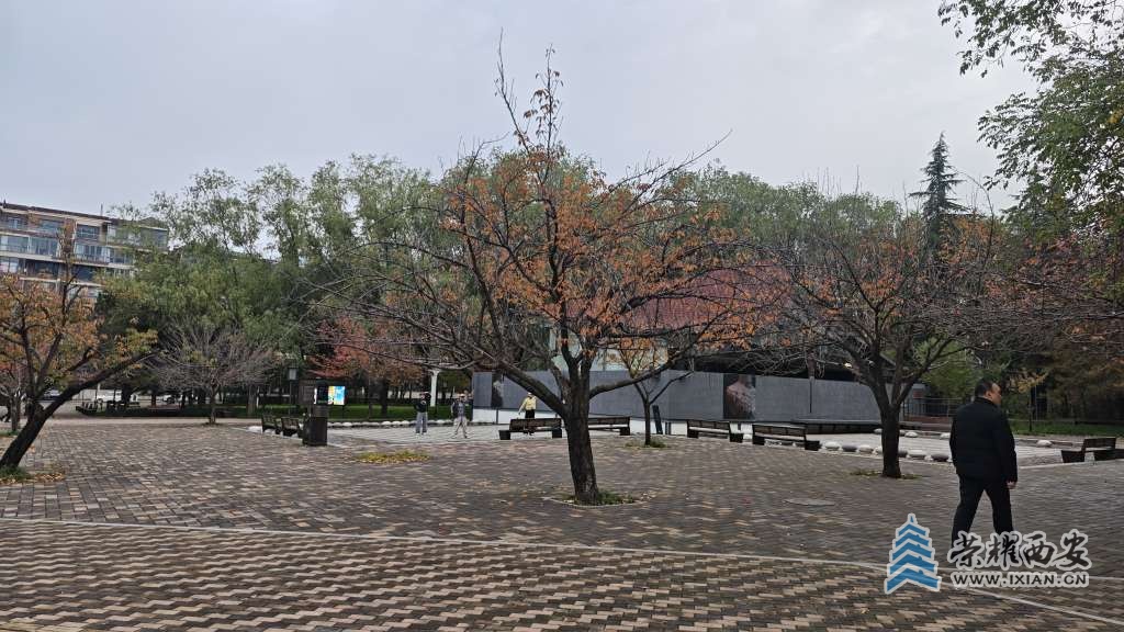 清晨的吟诗坛外风光