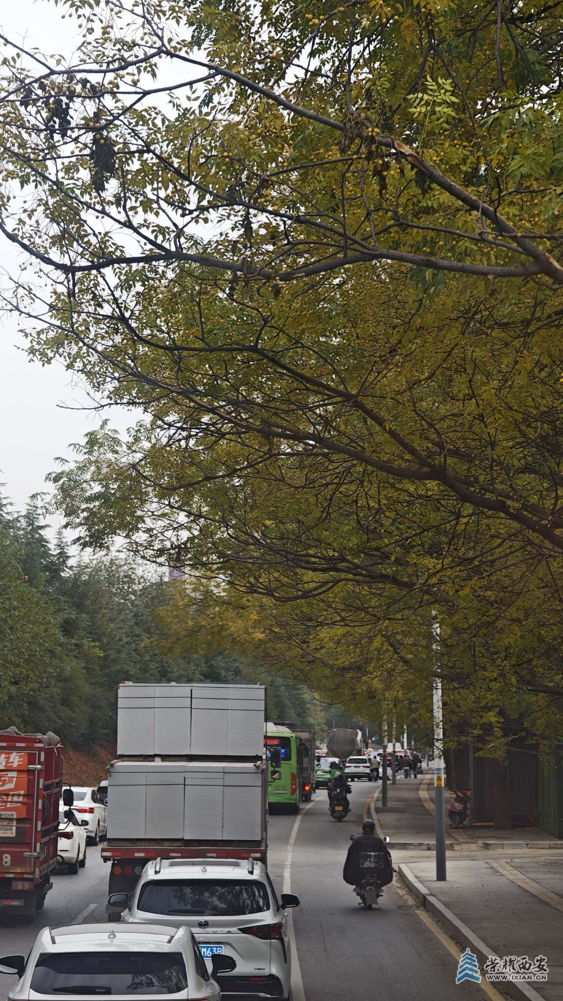 南三環(huán)印象