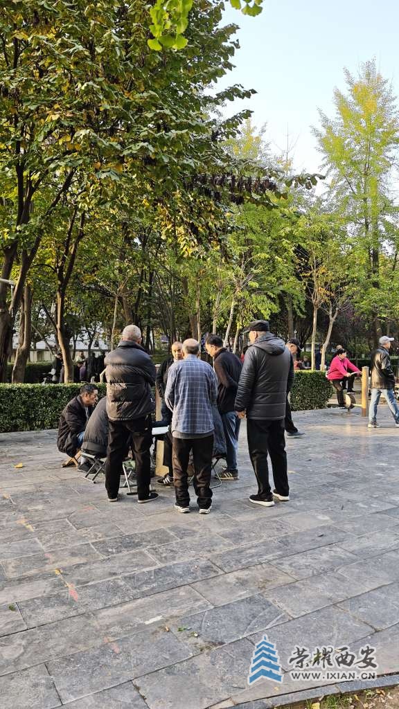 路边小公园很受欢迎