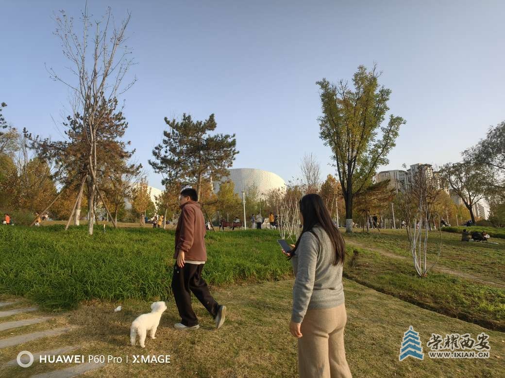 初冬时节的元朔大桥