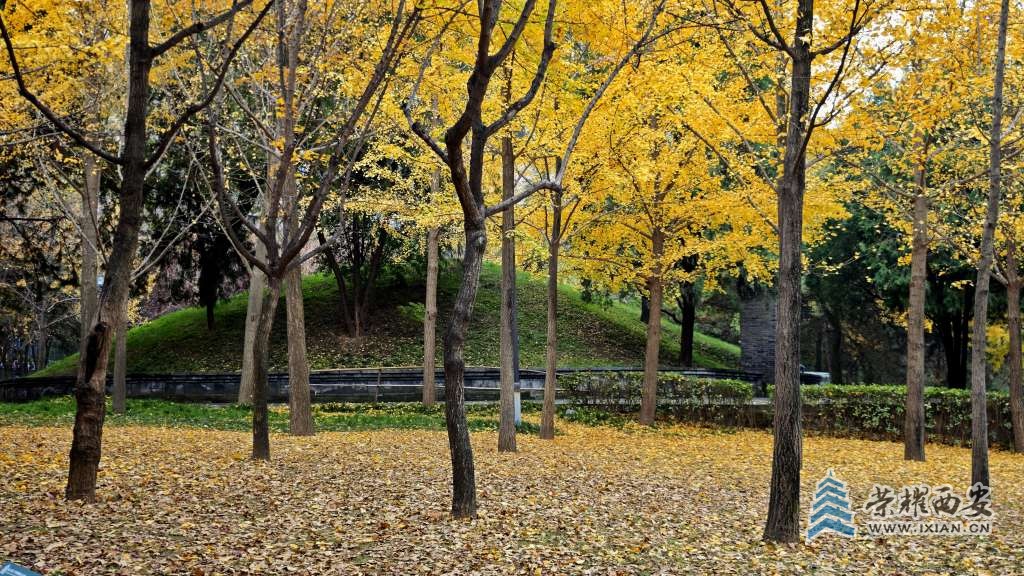 秦二世陵風(fēng)光