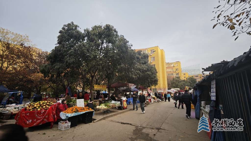 曲江池西村逛早巿