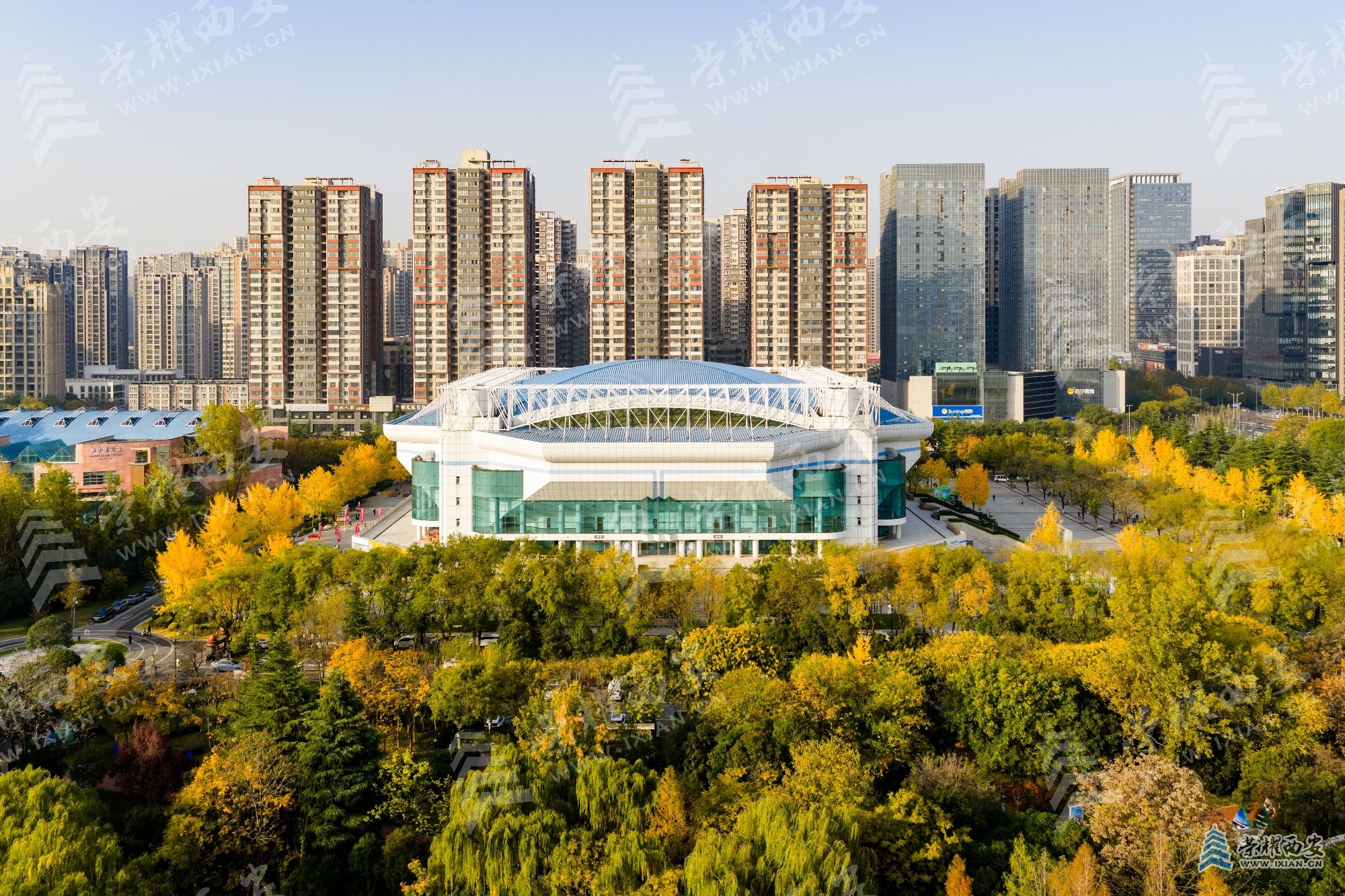 DJI_20251111161049_0043_D (1).jpg