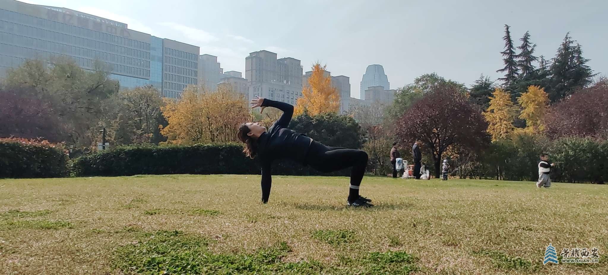 城市运动公园里的动物流训练