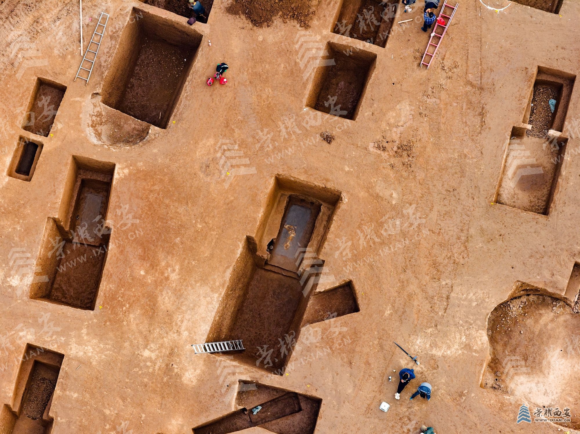 DJI_20251112111859_0071_D (1).jpg