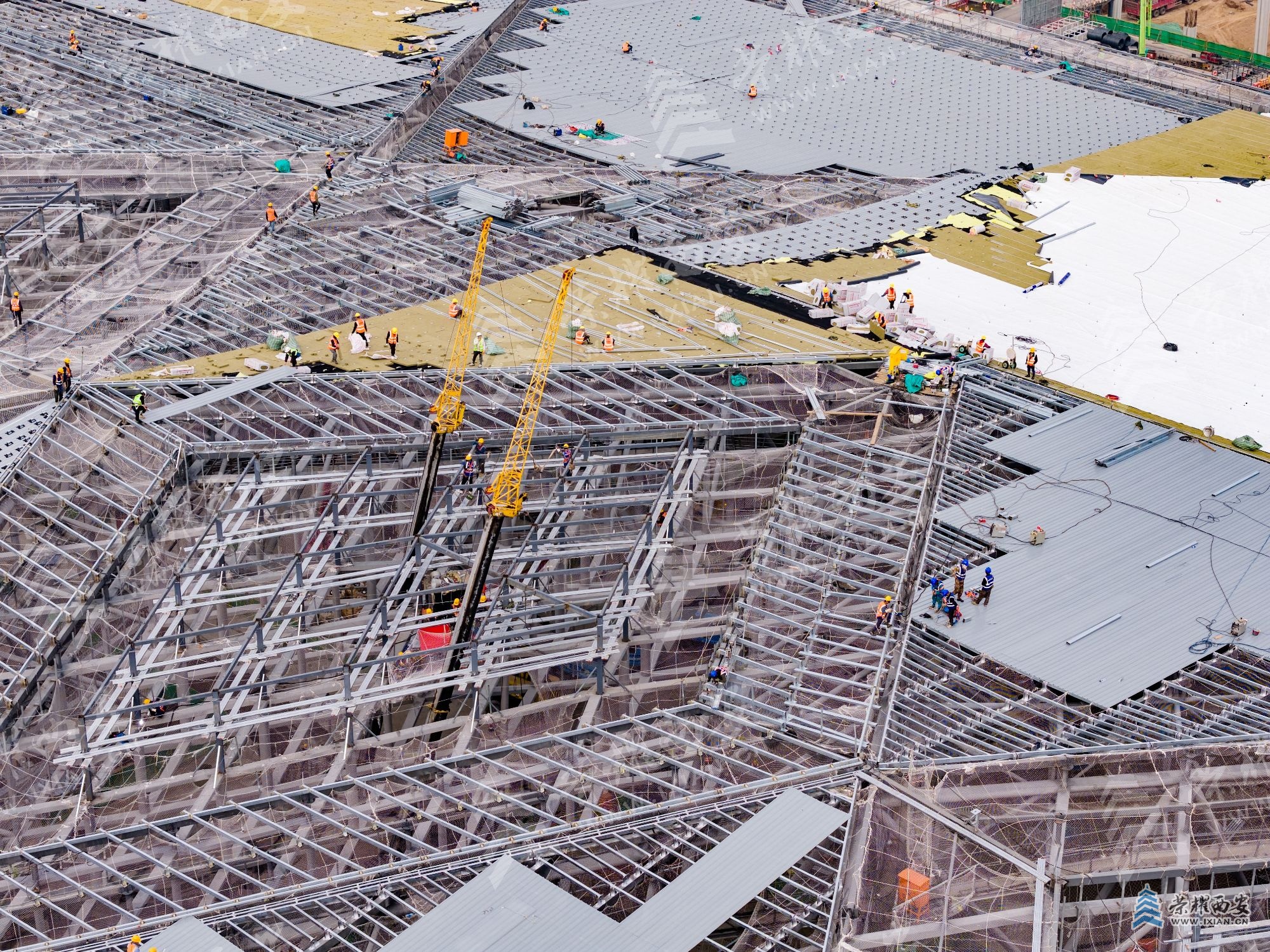 DJI_20251112112401_0083_D (1).jpg