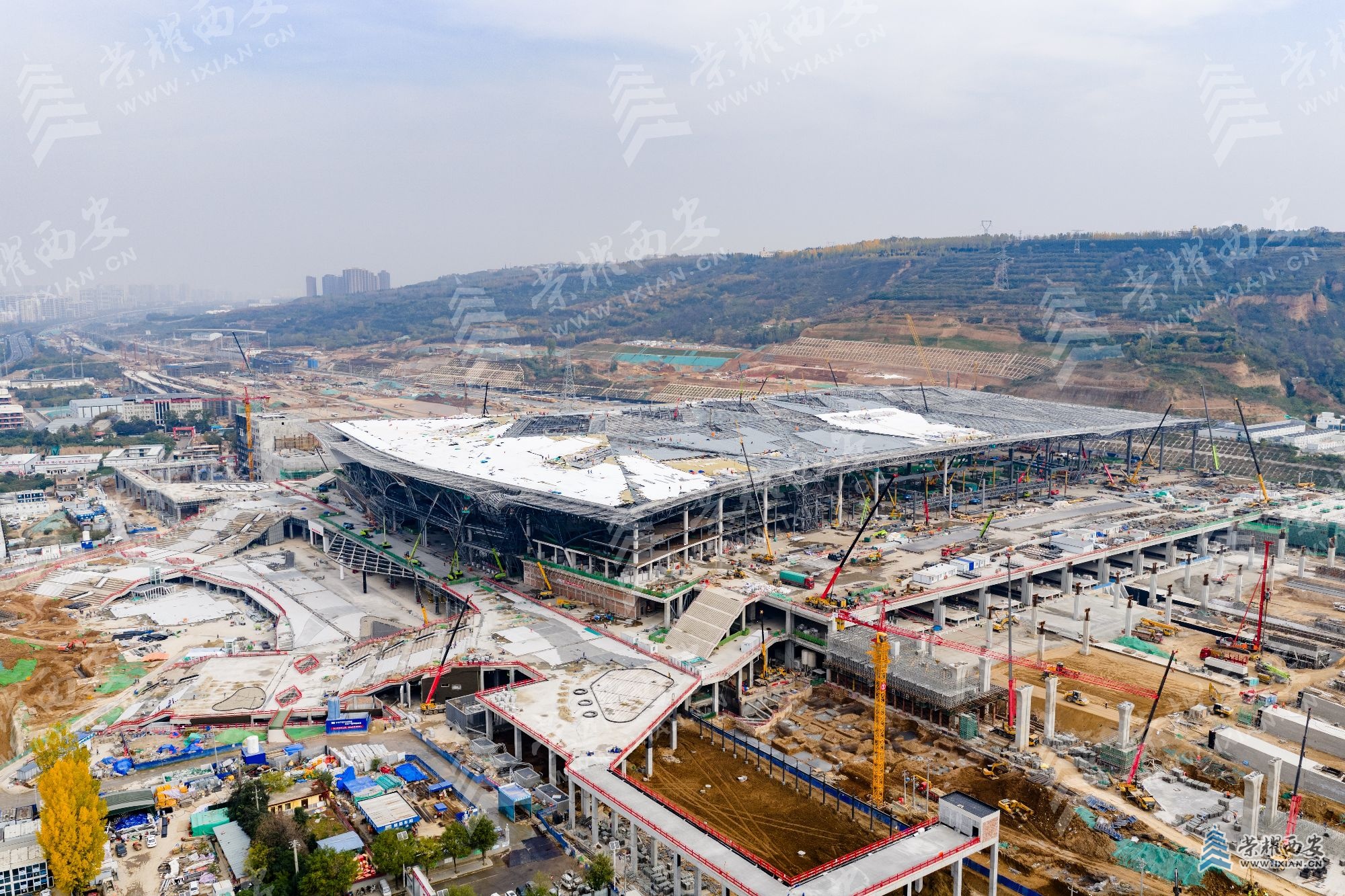 DJI_20251112112716_0090_D (1).jpg