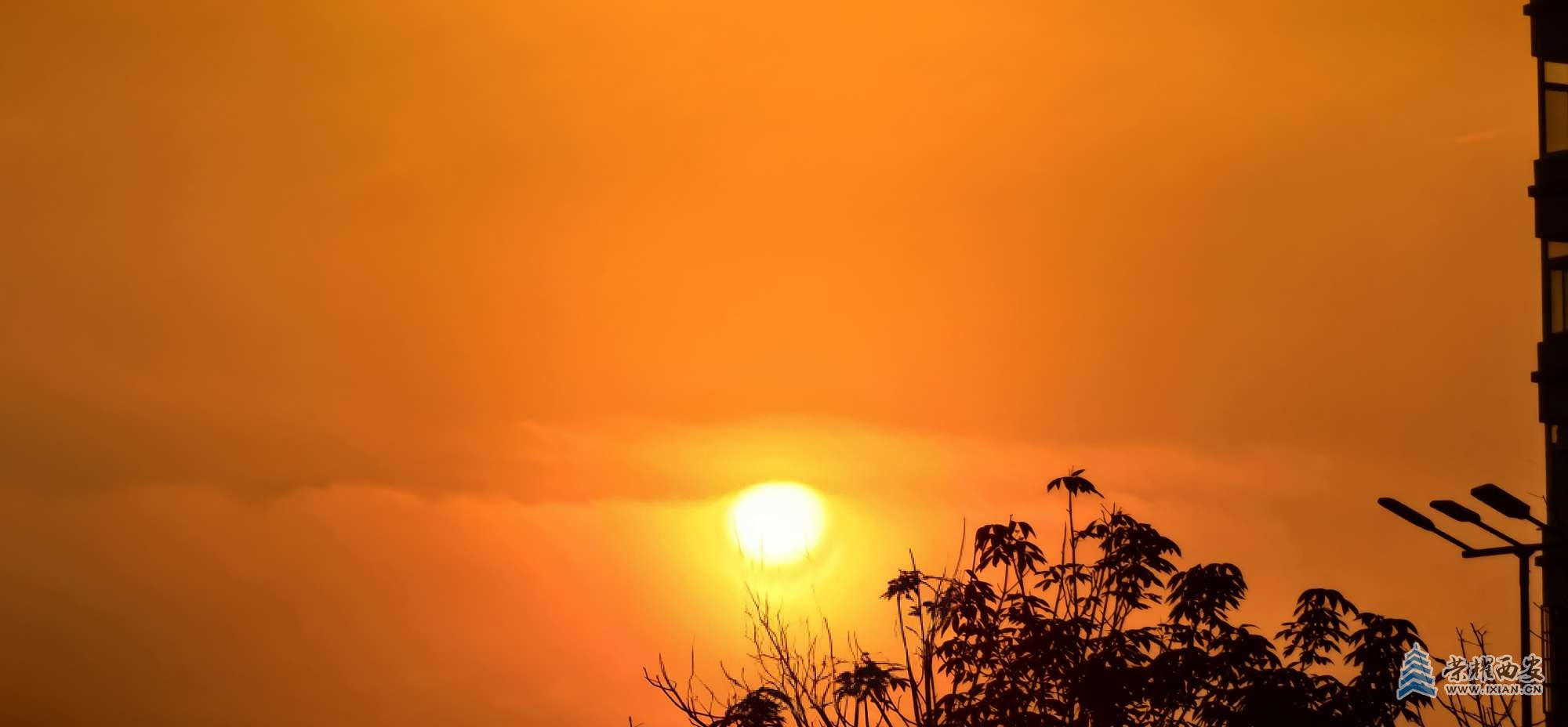 周末午后，在公园休息看孙子的爷爷奶奶们，