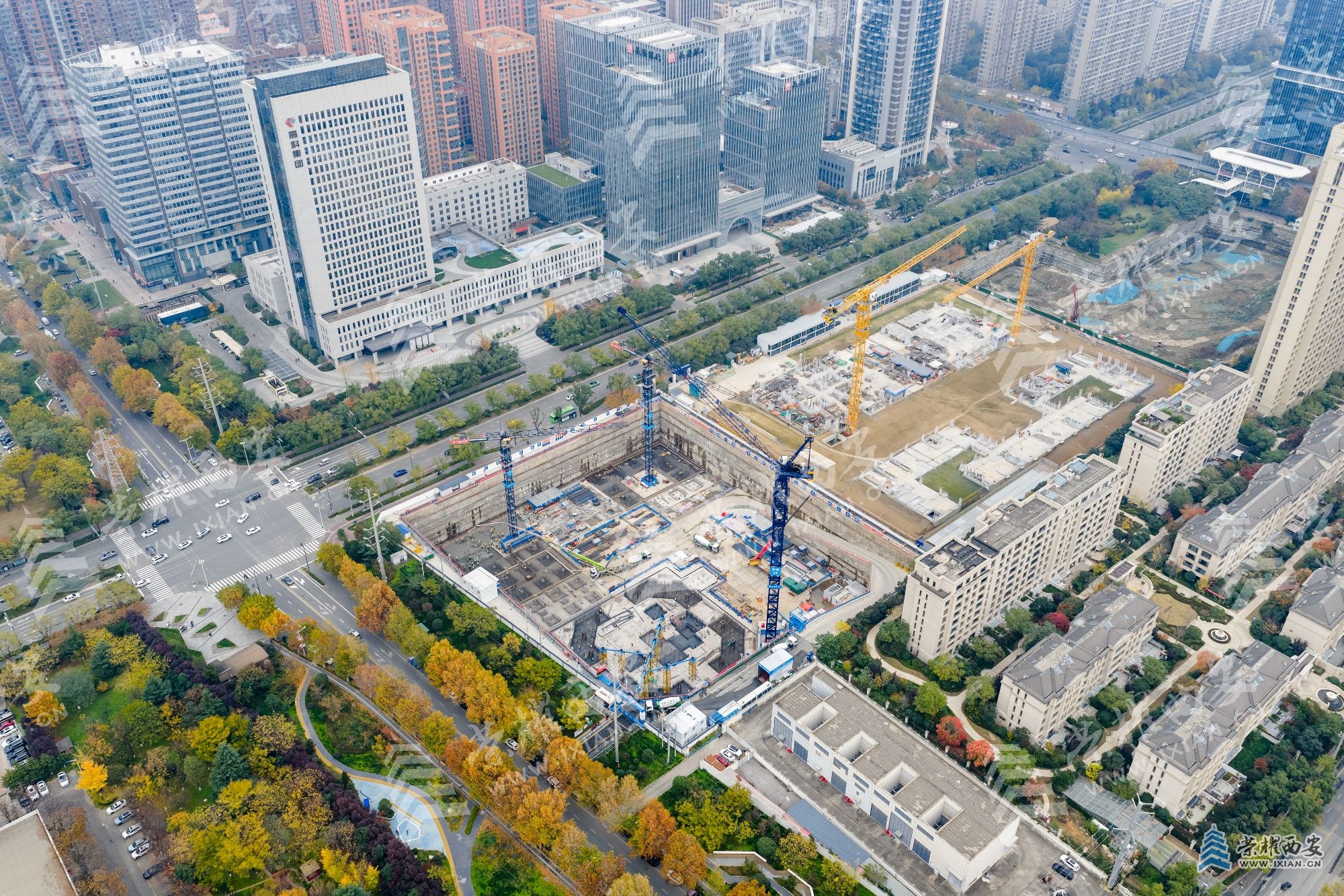 DJI_20251114153547_0122_D (1).jpg