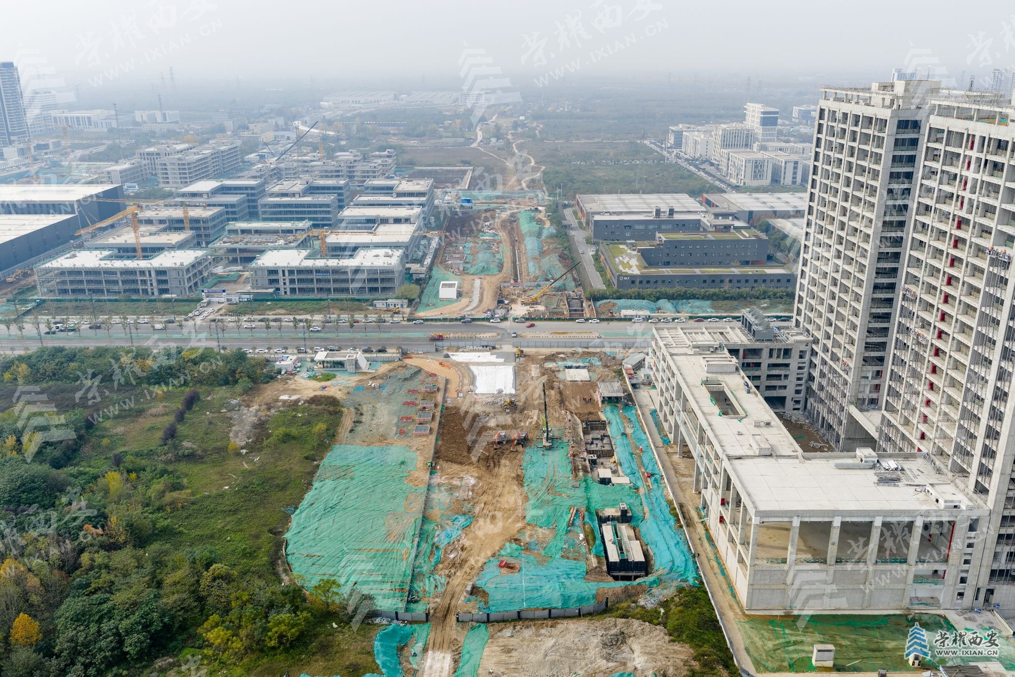 DJI_20251114132005_0081_D (1).jpg