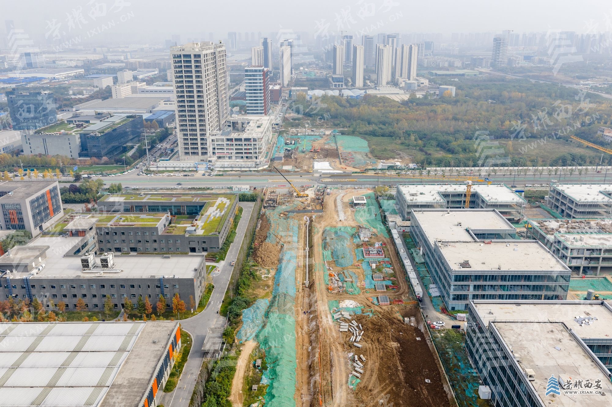 DJI_20251114132102_0083_D (1).jpg