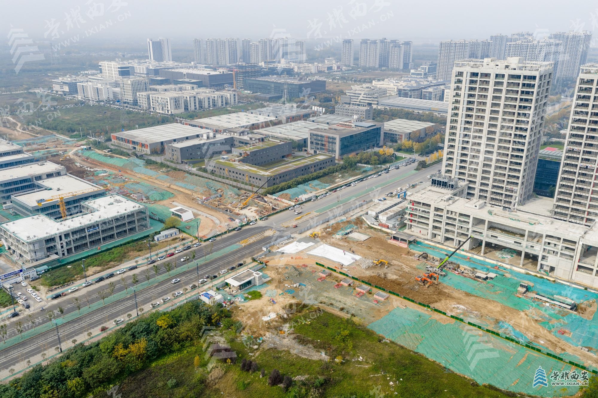 DJI_20251114132158_0085_D (1).jpg