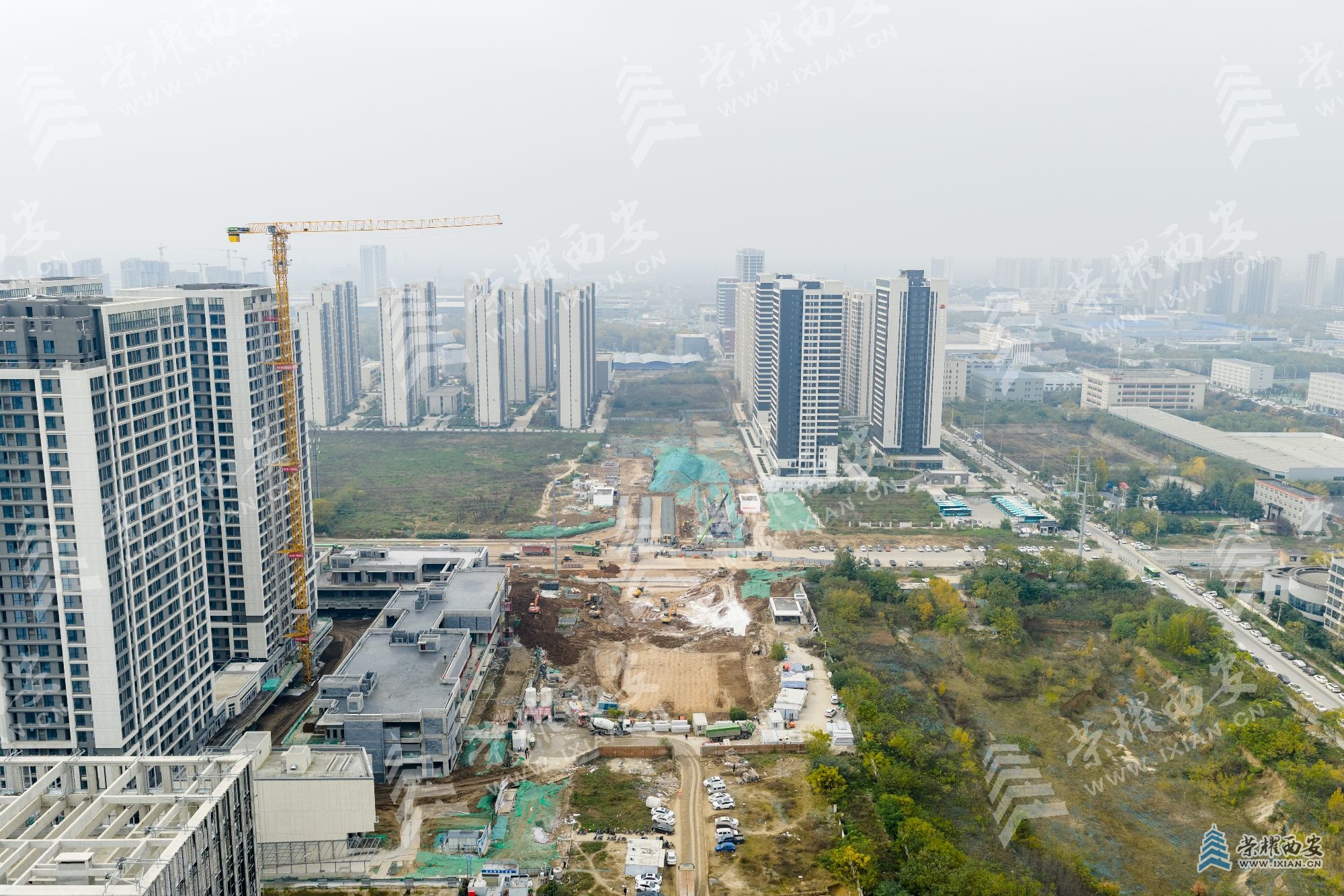 DJI_20251114125207_0055_D (1).jpg