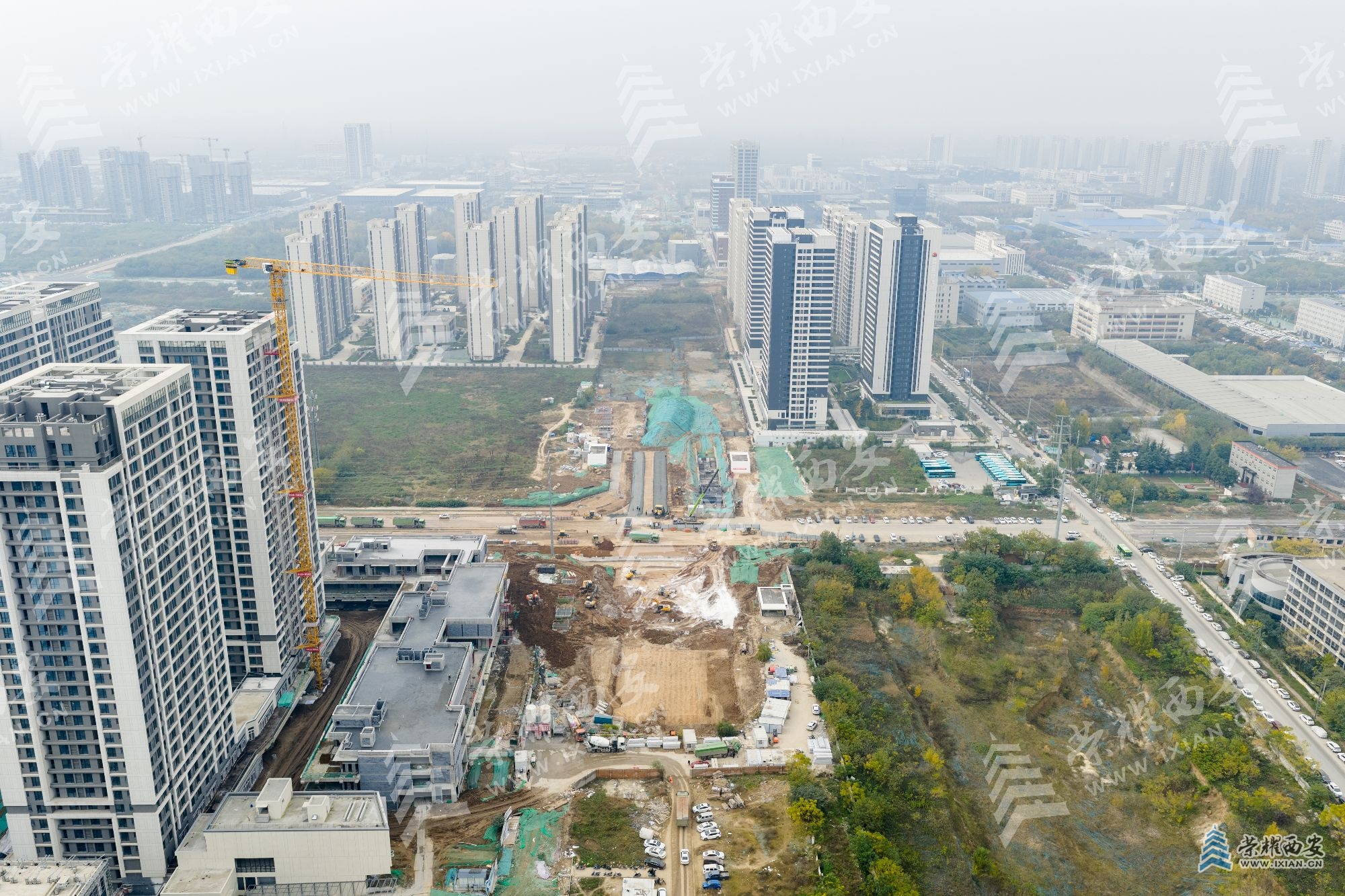 DJI_20251114125222_0056_D (1).jpg