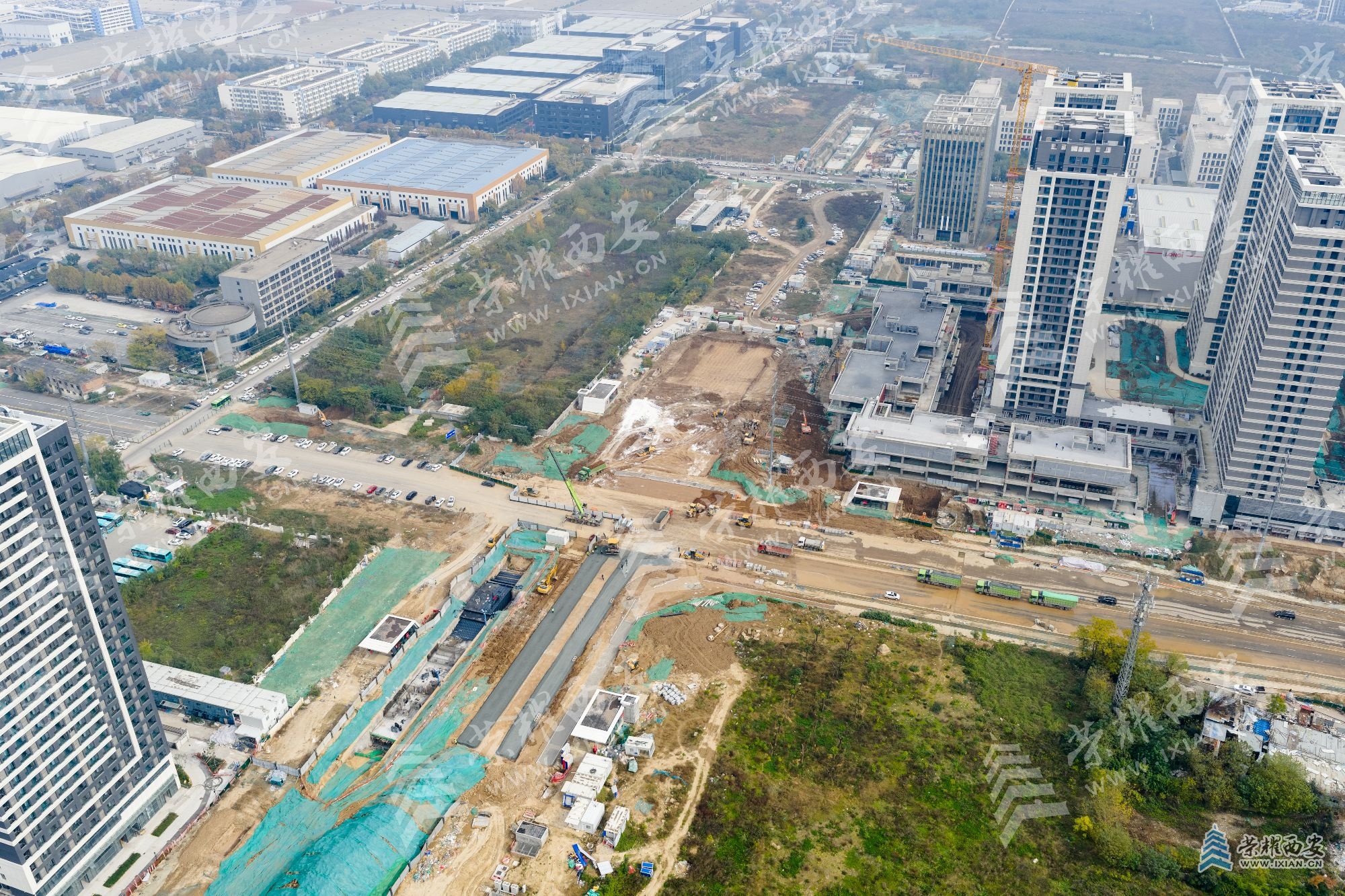 DJI_20251114125317_0058_D (1).jpg