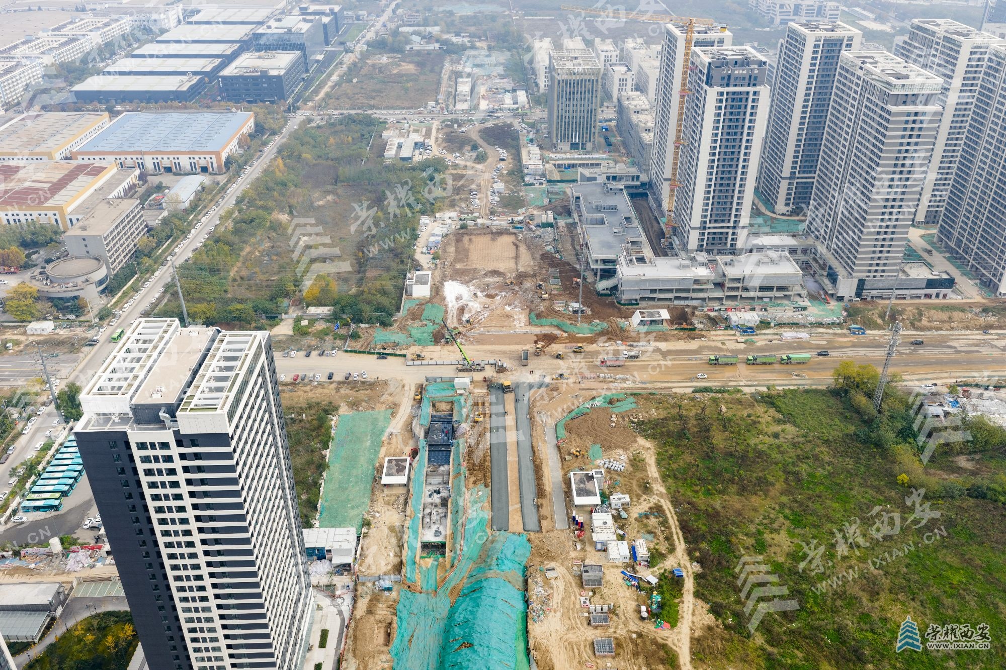 DJI_20251114125332_0059_D (1).jpg