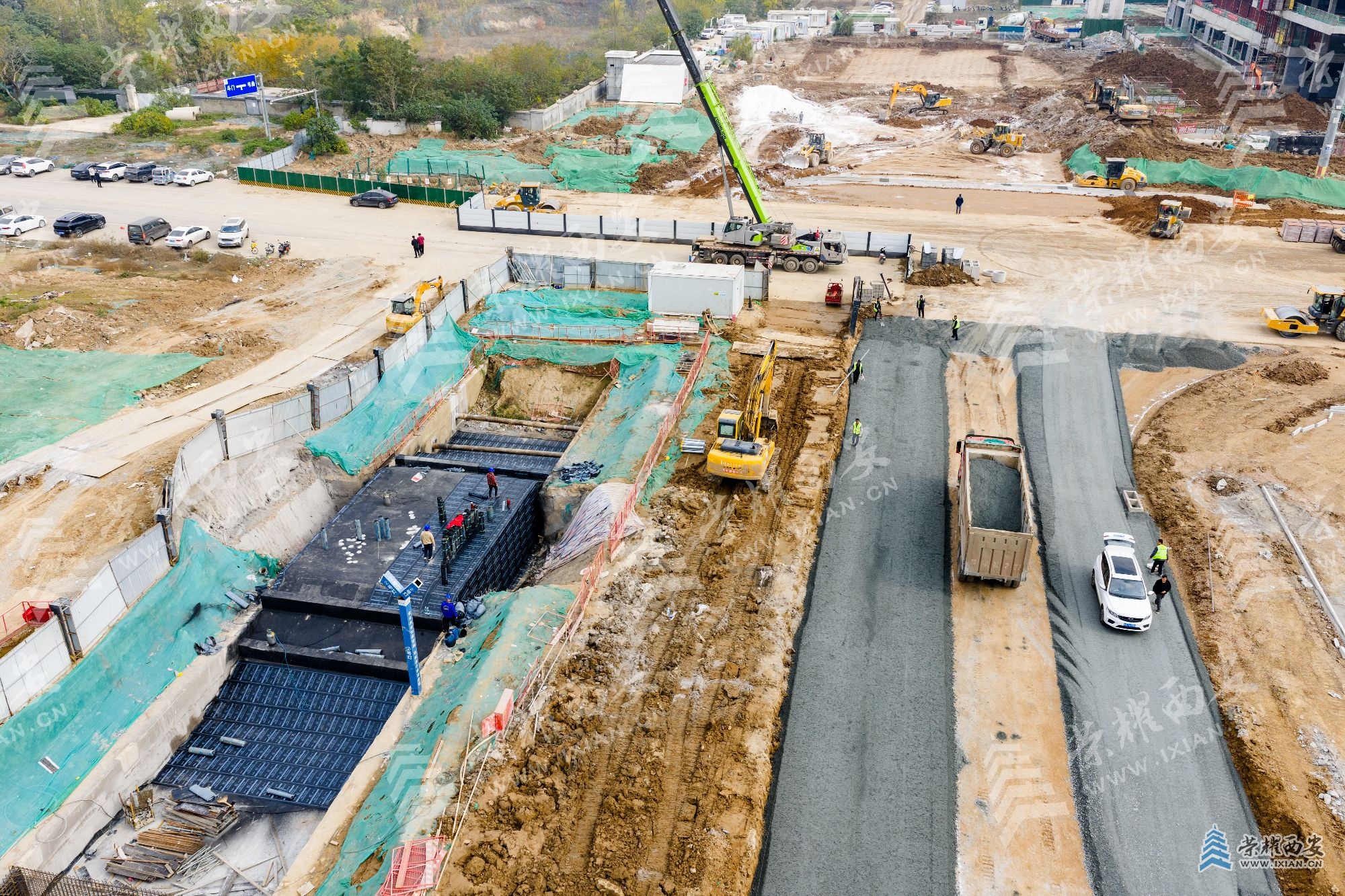 DJI_20251114125611_0066_D (1).jpg