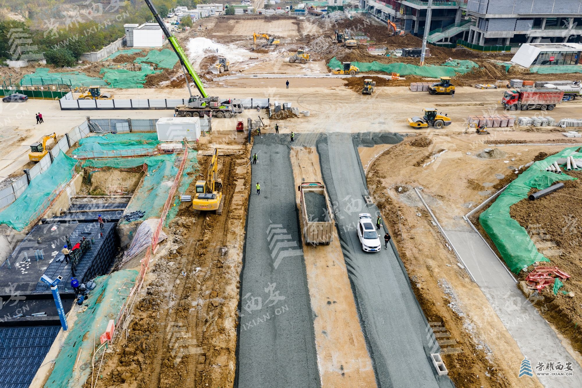 DJI_20251114125612_0067_D (1).jpg