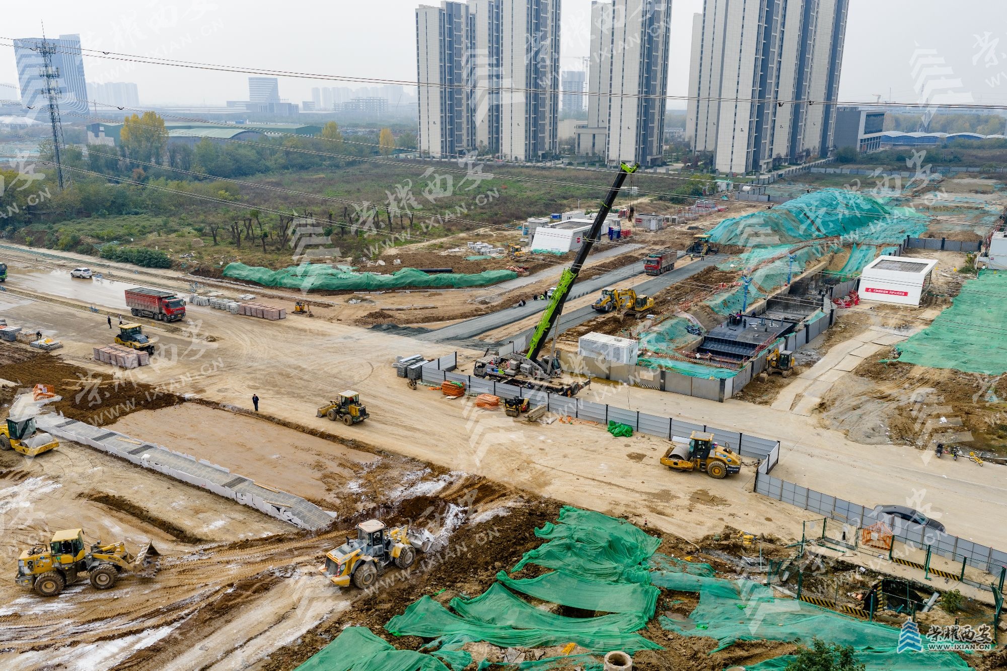 DJI_20251114125914_0080_D (1).jpg